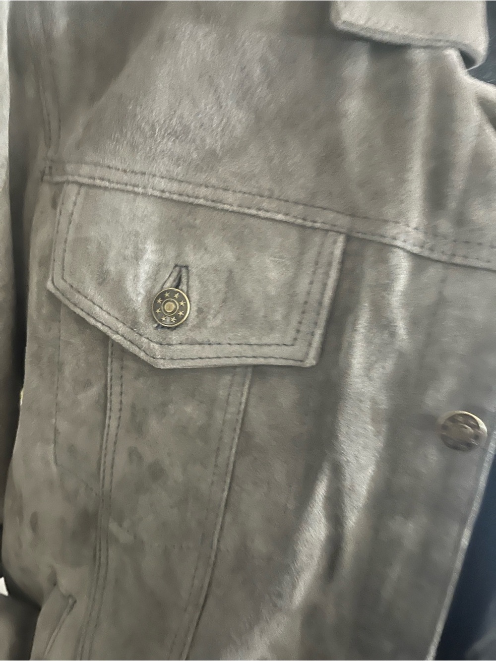 Gray Suede Leather Button-Up Jacket - Picture 2 of 9